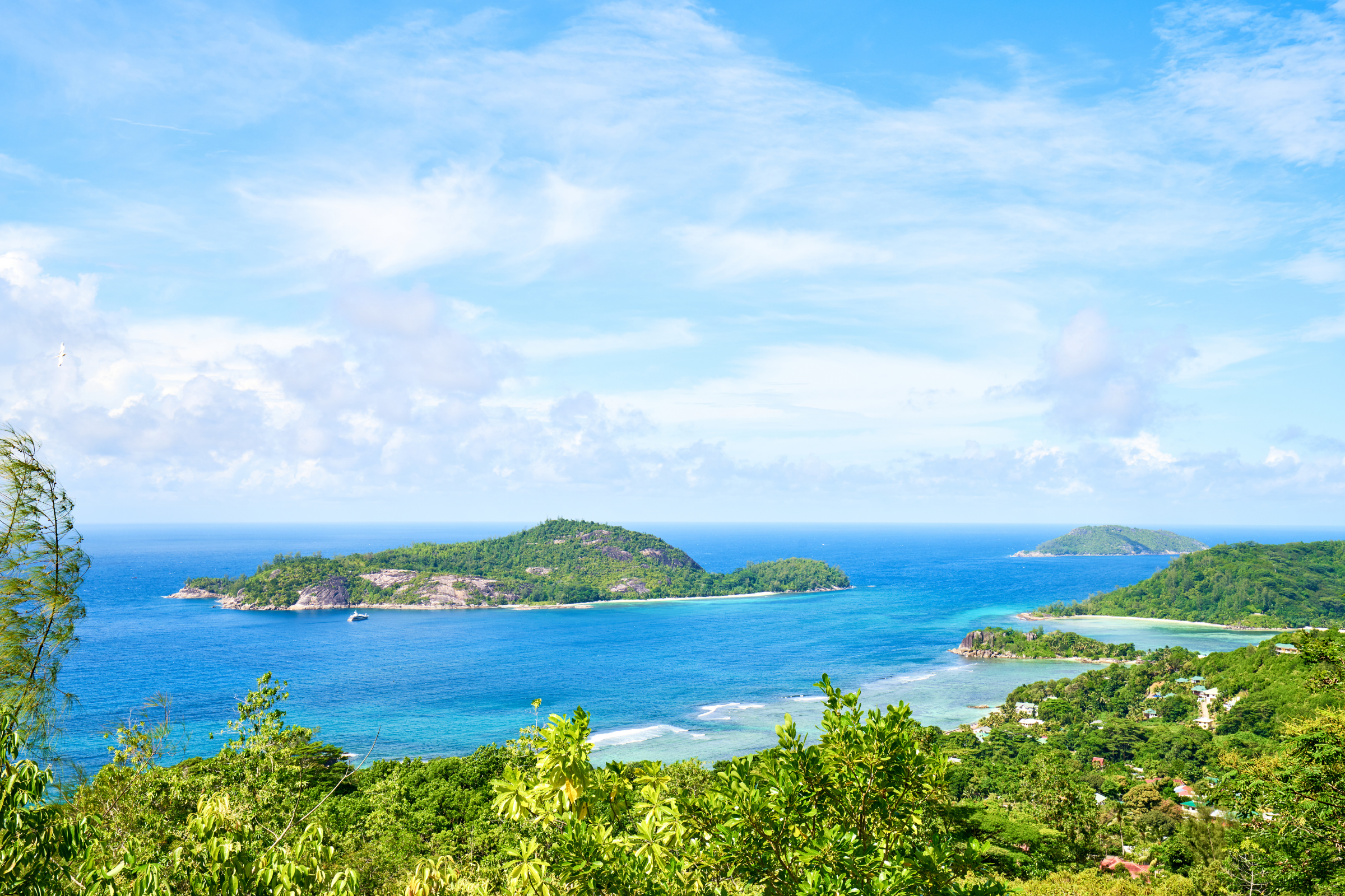 therese island (2).webp